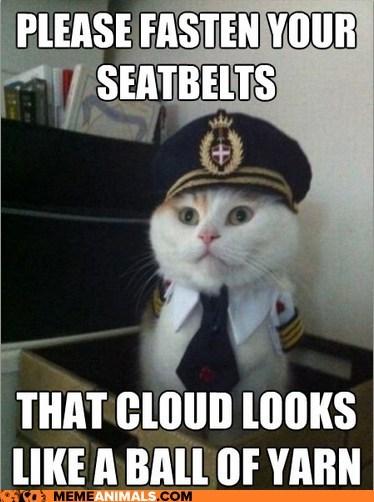 PLEASE FASTEN YOUR SEATBELTS THAT CLOUD LOOKS A BALL OF YARN LIKE MEMEANIMALS COM