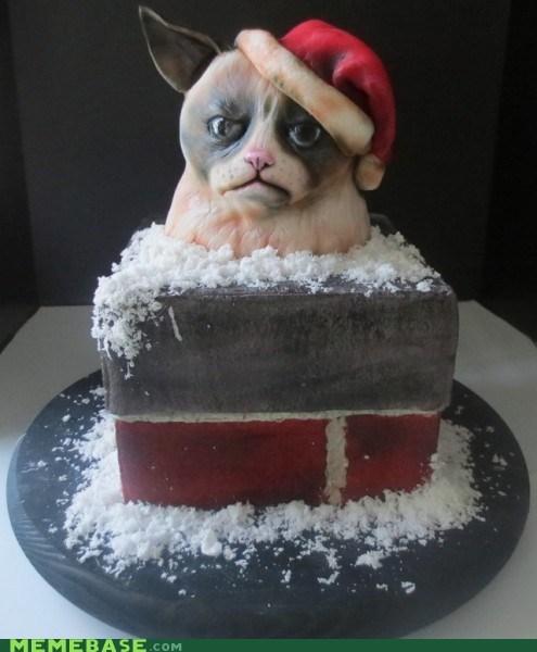 Angry Cat Christmas Meme Dashing Through the No Edible Cake