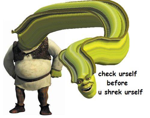 meme #shrek