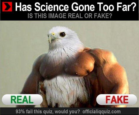 Has Science Gone Too Far? IS THIS IMAGE REAL OR FAKE? REAL FAKE 93% fail this quiz, would you? official.qquiz.com