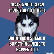 THATS A NICE CLEAN LAWN YOU GOT THERE WOULD BE A SHAME IF SOMETHING WERE TO HAPPEN TO IT