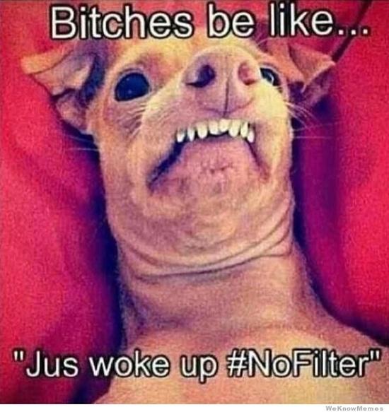 Bitches be like oke up #NoFlter WeKnowMemos