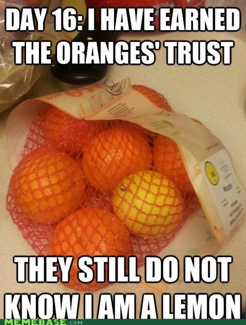 DAY 16:I HAVE EARNED THE ORANGES TRUST KNOWIAMIALEMON MEMEBASE.coM