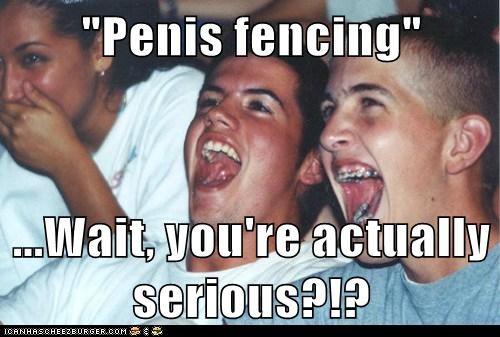 ...Yes, <a href="http://en.wikipedia.org/wiki/Penis_fencing">there is actually a phenomenon scientifically referred to as "penis fencing"</a>. <a href="https://www.youtube.com/watch?v=5fx-YgcP8Gg">Watch and learn.</a>