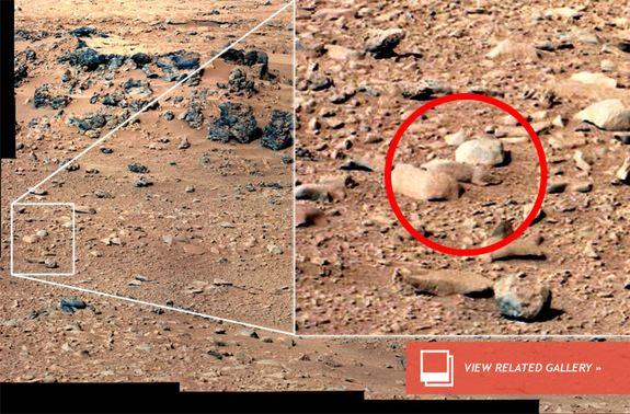 Yahoo News - "'Mars Rat' Taking Internet by Storm":http://news.yahoo.com/mars-rat-taking-internet-storm-232339941.html