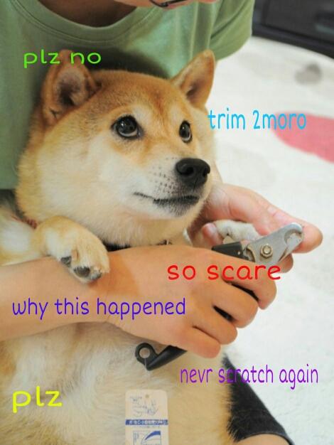 trim 2moro So scare why this happened nevr srotch again plz