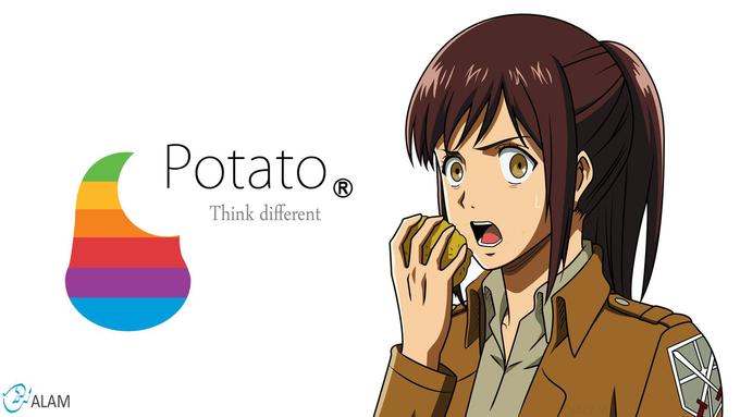 Potato Think different ALAM