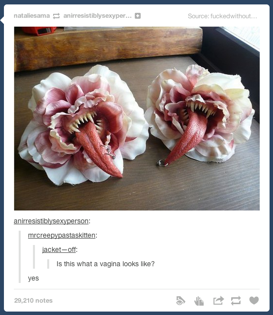 nataliesama anirresistiblysexyper...。 Source: fuckedwithout anirresistiblysexyperson mrcreepypastaskitten acket of Is this what a vagina looks like? yes 29,210 notes