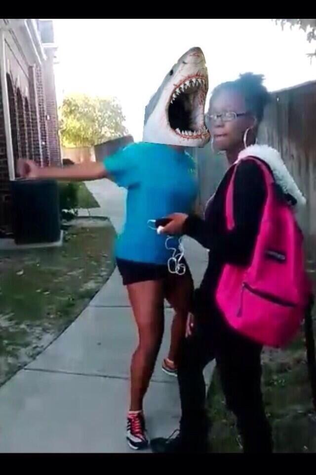 Image - 649836] | Sharkeisha Fight Video | Know Your Meme