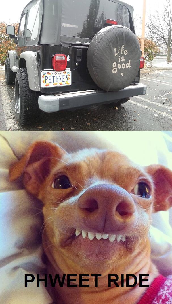  Image 656348 Phteven Tuna The Dog Know Your Meme