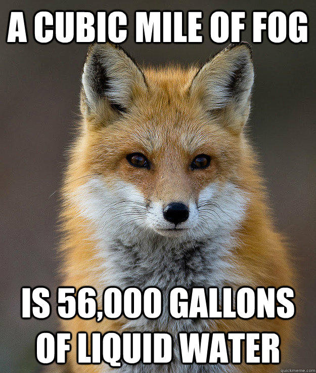 4f7.jpg A CUBIC MILE OF FOG IS 56,000 GALLONS OFLIQUID WATER quickmeme.com