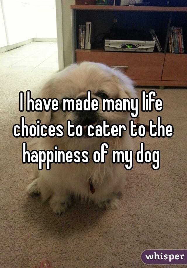 bes have made manu lire choices to cater to the happiness of mydog whisper