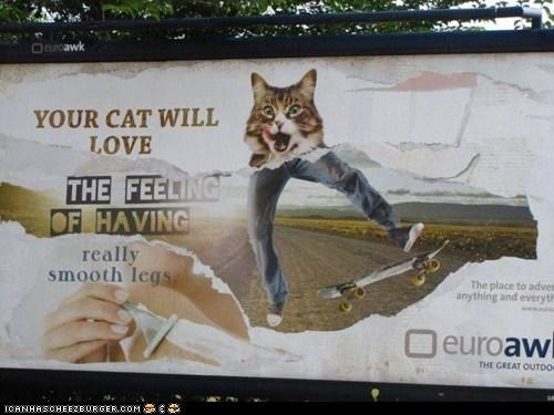 Ceurbawk YOUR CAT WILL LOVE THE FEELING F HAVING really smooth legs The place to adven anything and everyti 口euroaw THE GREAT OUTDO IORNHASCHE E2 BURGER.COM 흡