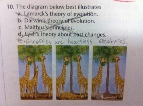 10. The diagram below best illustrates a. Lamarck's theory of eyolution. b. Darwin's theory ef evolution. c. Malthus's principles. d, lyel's theory about past changes. e.Gicofees are heartless creatwres