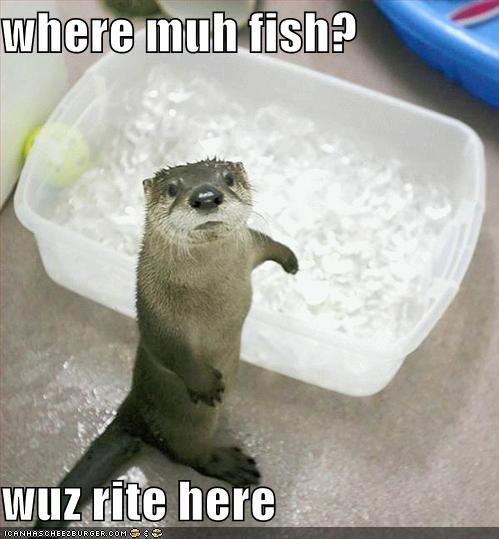 where muh fish Wuzgite here ICANHASO H E E ZE U R GER.COM ' '