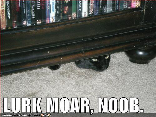 LURK MOAR, NOOB