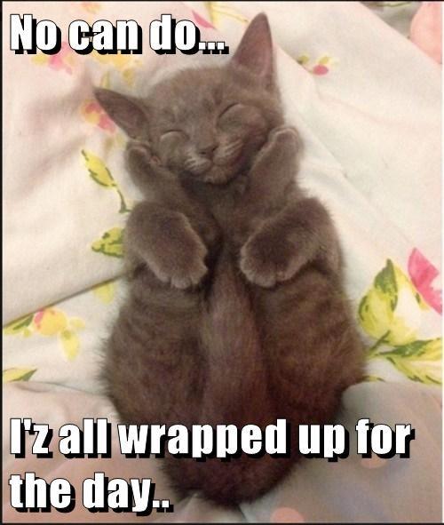 Jzall wrapped up for