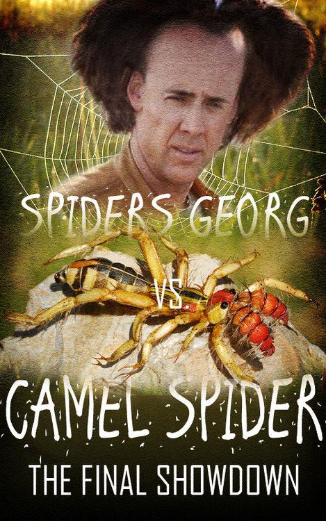Spiders Georg Know Your Meme