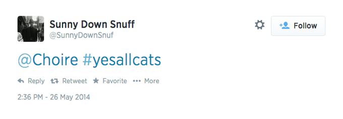 * 塩Follow Sunny Down Snuff @SunnyDownSnuf @Choire #yesalicats わReply Retweet ★ Favorite More 2:36 PM - 26 May 2014