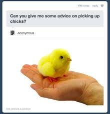 Can you give me some advice on picking up chicks? AnonymouS