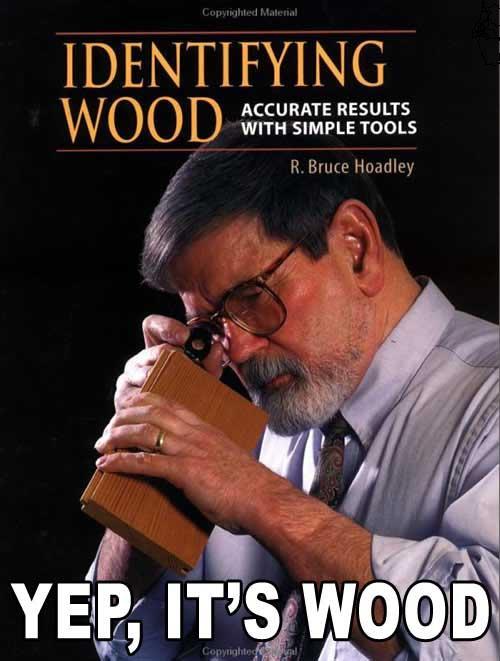 Copytighted Material IDENTIFYING ACCURATE RESULTS WITH SIMPLE TOOLS R. Bruce Hoadley YEP IT'S WOOD ite