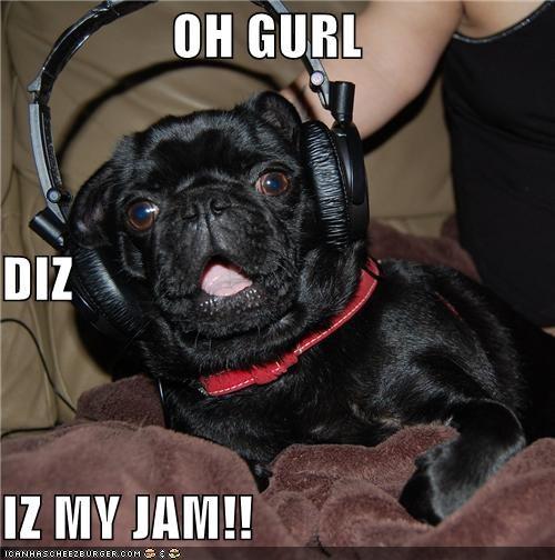 OH GURL DiZ IZ MY JAM!! 10: A N H AS CHEEZBURGER.COM '