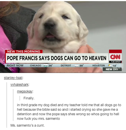 NEW THIS MORNING POPE FRANCIS SAYS DOGS CAN GO TO HEAVEN N CHICAG0 26 DETROIT 30 HOUSTON 63 NEW DAY whaleshark megsokay Finally in third grade my dog died and my teacher told me that all dogs go to hell because the bible said so and i started crying so she gave me a detention and now the pope says shes wrong so whos going to hel now f--- you mrs. sarmento Ms. sarmento's a c---.