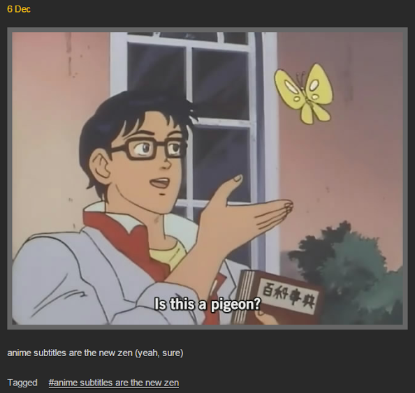 Is this a meme the confused anime guy and his butterfly explained  Vox