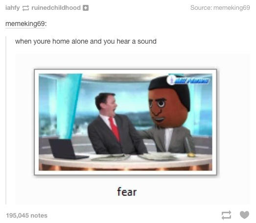 iahfy-ruinedchildhood Source: memeking69 memeking69 when youre home alone and you hear a sound fear 195,045 notes