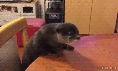 its an otter, im very tired, i might be going to bed now
bye
