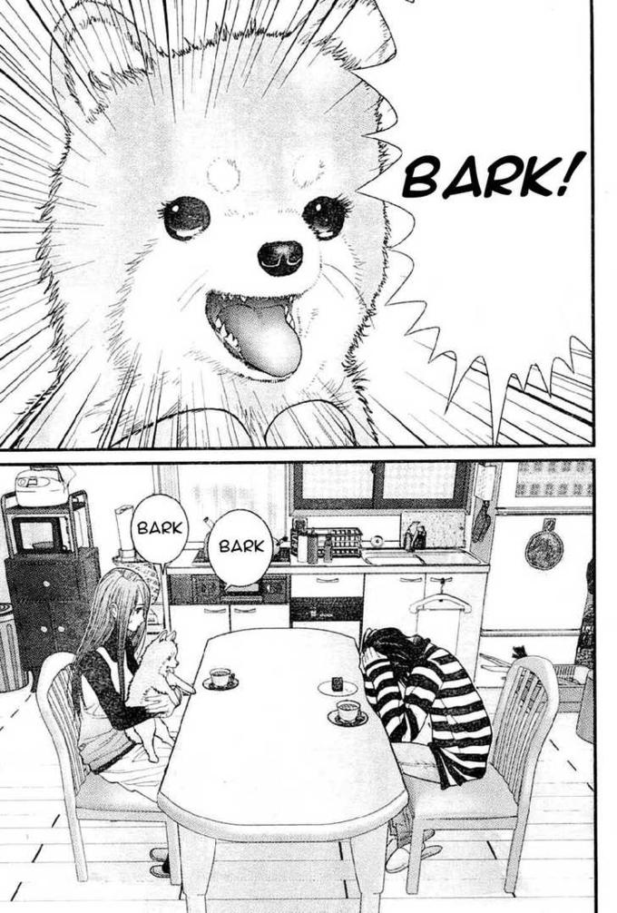 BARK! BARK BARK