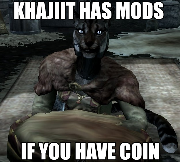 KHAJIIT HAS MODS IF YOU HAVE COIN .