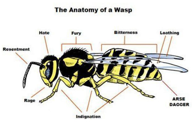 The Anatomy of a Wasp Bitterness Loathing Hate Fury Resentment ARSE DAGGER Rage Indignation