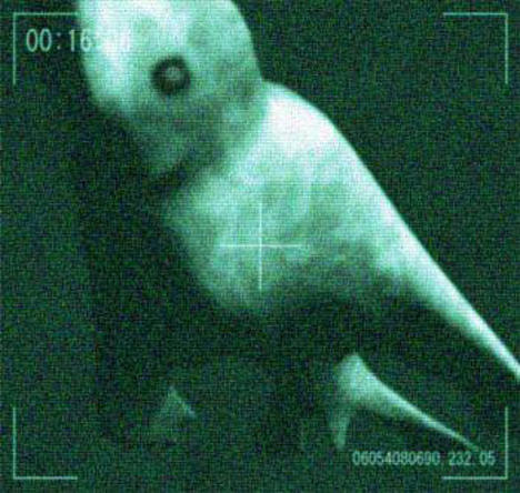 Japanese named mythical(?) sea cryptid.
Don't know if this counts as thalassophobia.