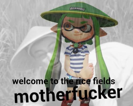 welcome to the rice fields m-----------