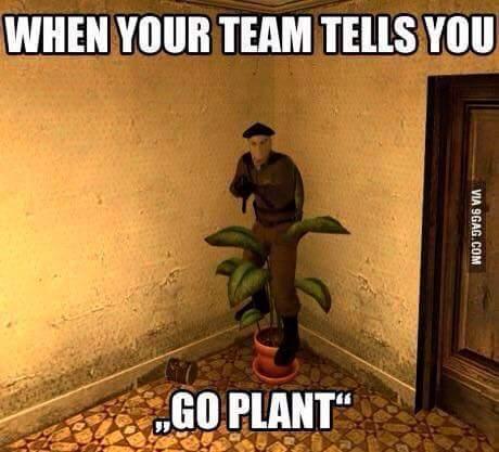 WHEN YOUR TEAM TELLS YOU GO PLANT