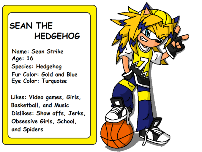 SEAN THE HEDGEHOG Name: Sean Strike Age: 16 Species: Hedgehog Fur Color: Gold and Blue Eye Color: Turquoise Likes: Video games, Girls, Basketball, and Music Dislikes: Show offs, Jerks Obsessive Girls, School, and Spiders