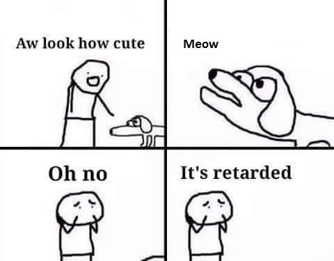 Aw look how cute Meow Oh no It's retarded