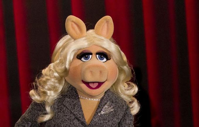 "Source":http://www.washingtonpost.com/news/morning-mix/wp/2015/06/05/miss-piggy-an-inanimate-puppet-frequently-voiced-by-men-receives-feminist-award-from-gloria-steinem/