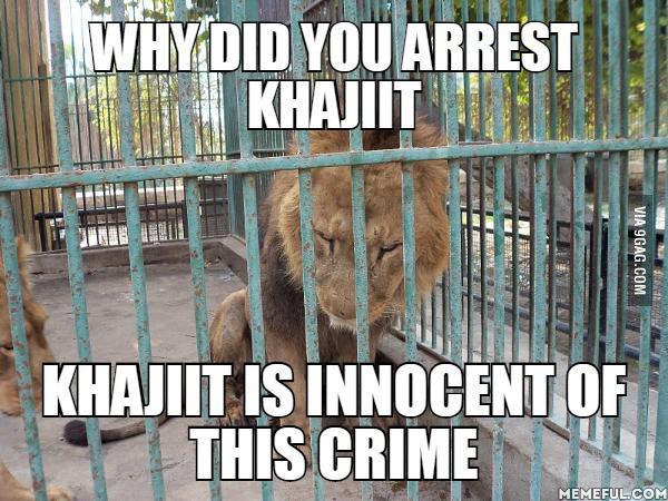 WHYDID YOU ARREST KHAJJIT IS INNOCENT OP THIS CRIME MEMEFUL COM