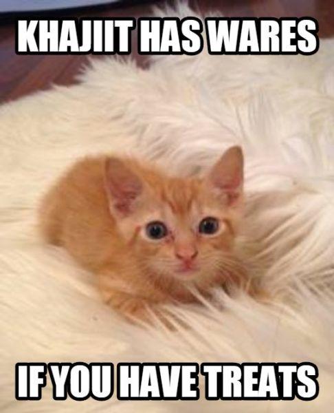 KHAUIUT HAS WARES IFYOU HAVE TREATS