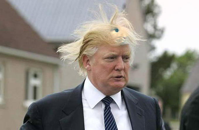 Has anybody seen my guinea pig Ricardo? A got him from Mexico last summer and lost him at a Trump rally. He loves bourbon.