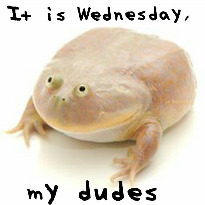 I+ is Wednesday my dudes