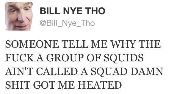 BILL NYE THO @Bill_Nye_Tho SOMEONE TELL ME WHY THE F--- A GROUP OF SQUIDS AINT CALLED A SQUAD DAMN S--- GOT ME HEATED