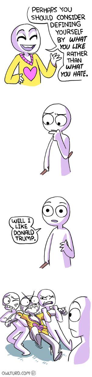 PERHARS YOU SHOULD CONSIDER DEFINING ( YOURSELF BY WHAT YOU LIKE RATHER THAN WHAT YOU HATE. WELL I LIKE DONALD TRUMP. OWLTURD.COm