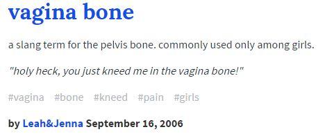 vagina bone a slang term for the pelvis bone. commonly used only among girls. "holy heck, you just kneed me in the vagina bone!" #vagina #bone #kneed #pain #girls by Leah&Jenna September 16, 2006