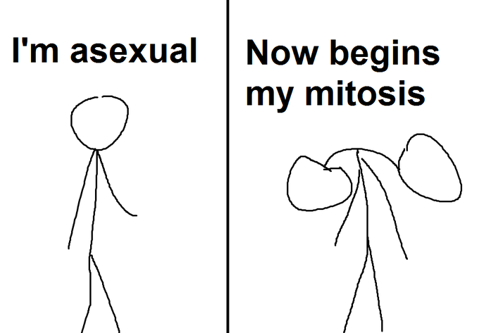 l'm asexual Now begins my mitosis