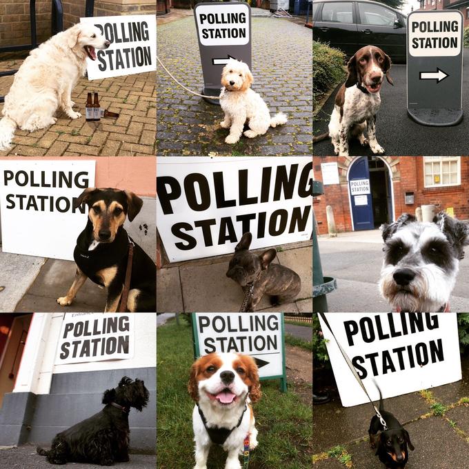 "source":https://twitter.com/katelawler/status/746041793289068545