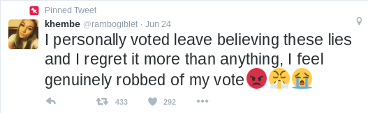 Pinned Tweet khembe @rambogiblet Jun 24 I personally voted leave believing these lies and I regret it more than anything, I feel genuinely robbed of my vote 么> 433292