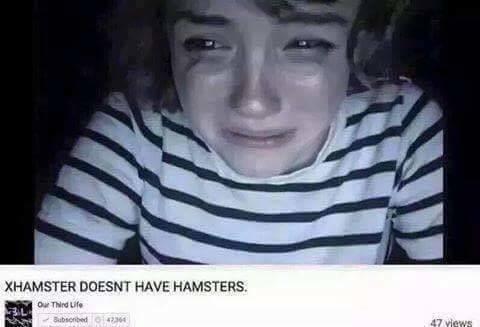 XHAMSTER DOESNT HAVE HAMSTERS Our Third Life